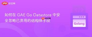 如何在 GAE Go Datastore 中安全忽略已弃用的结构体字段