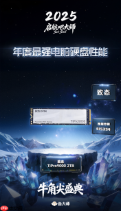 致态TiPro9000荣获鲁大师大奖：2025年度最强电脑硬盘性能