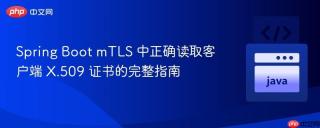 Spring Boot mTLS 中正确读取客户端 X.509 证书的完整指南
