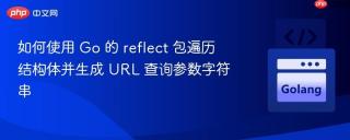 如何使用 Go 的 reflect 包遍历结构体并生成 URL 查询参数字符串