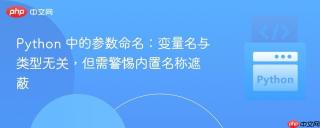 Python 中的参数命名：变量名与类型无关，但需警惕内置名称遮蔽
