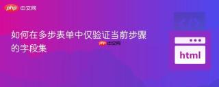 如何在多步表单中仅验证当前步骤的字段集
