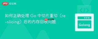 如何正确处理 Go 中切片重切（re-slicing）后的内存回收问题