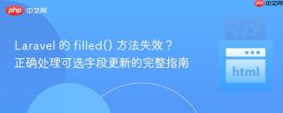 Laravel 的 filled() 方法失效？正确处理可选字段更新的完整指南
