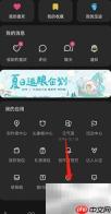 LOFTER播客定时播放设置方法