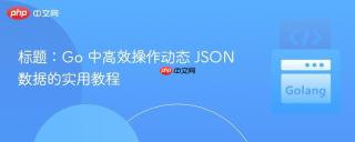 Go 中高效操作动态 JSON 数据的实用教程