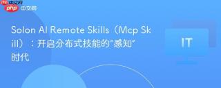 Solon AI Remote Skills（Mcp Skill）：开启分布式技能的“感知”时代