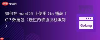 如何在 macOS 上使用 Go 捕获 TCP 数据包（绕过内核协议栈限制）