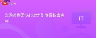 全国首例因“AI 幻觉”引发侵权案宣判