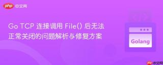 Go TCP 连接调用 File() 后无法正常关闭的问题解析与修复方案