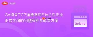 Go语言TCP连接调用File()后无法正常关闭的问题解析与解决方案
