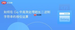 如何在 Go 中高效处理超长二进制字符串的按位运算