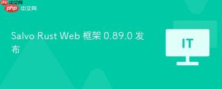 Salvo Rust Web 框架 0.89.0 发布