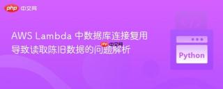 AWS Lambda 中数据库连接复用导致读取陈旧数据的问题解析