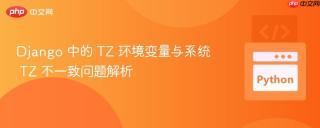 Django 中的 TZ 环境变量与系统 TZ 不一致问题解析