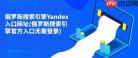 俄罗斯搜索入口引擎官网是什么