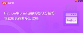 Python中print函数的默认分隔符导致制表符前多出空格