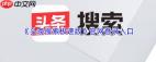 头条搜索极速版官网怎么登录