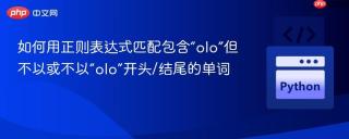 如何用正则表达式匹配包含“olo”但不以或不以“olo”开头/结尾的单词