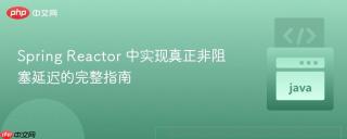 Spring Reactor 中实现真正非阻塞延迟的完整指南