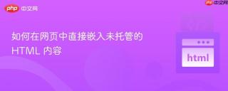 如何在网页中直接嵌入未托管的 HTML 内容