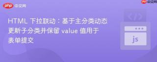 HTML 下拉联动：基于主分类动态更新子分类并保留 value 值用于表单提交