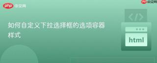如何自定义下拉选择框的选项容器样式