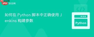 如何在 Python 脚本中正确使用 Jenkins 构建参数