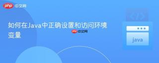 如何在Java中正确设置和访问环境变量
