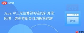 Java 中三元运算符的空指针异常陷阱：类型推断与自动拆箱详解