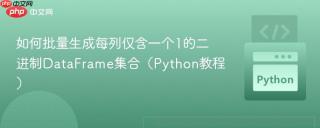 如何批量生成每列仅含一个1的二进制DataFrame集合（Python教程）
