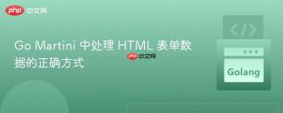 Go Martini 中处理 HTML 表单数据的正确方式