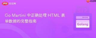 Go Martini 中正确处理 HTML 表单数据的完整指南
