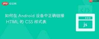 如何在 Android 设备中正确链接 HTML 的 CSS 样式表
