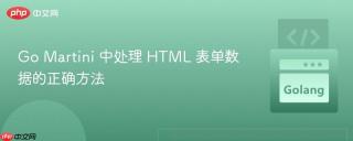 Go Martini 中处理 HTML 表单数据的正确方法