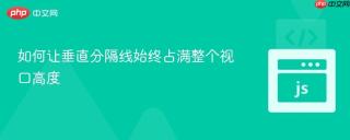 如何让垂直分隔线始终占满整个视口高度