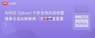 如何在 Qdrant 中安全地向现有图像集合追加新数据（而非覆盖重置）