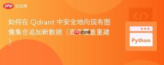如何在 Qdrant 中安全地向现有图像集合追加新数据（而非覆盖重建）
