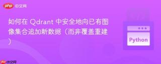 如何在 Qdrant 中安全地向已有图像集合追加新数据（而非覆盖重建）