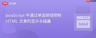 JavaScript 中通过单选按钮控制 HTML 元素的显示与隐藏