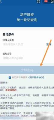 支付宝查动产融资指南