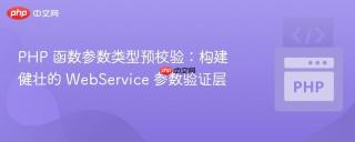 PHP 函数参数类型预校验：构建健壮的 WebService 参数验证层