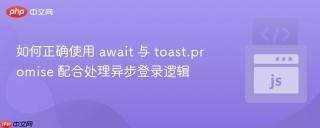 如何正确使用 await 与 toast.promise 配合处理异步登录逻辑