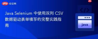 Java Selenium 中使用双列 CSV 数据驱动表单填写的完整实践指南