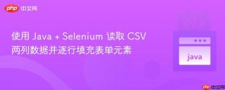 使用 Java + Selenium 读取 CSV 两列数据并逐行填充表单元素