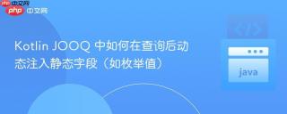 Kotlin JOOQ 中如何在查询后动态注入静态字段（如枚举值）