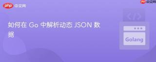 如何在 Go 中解析动态 JSON 数据
