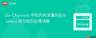 Go Channels 中的内存泄漏风险与 select 语句超时处理详解
