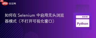 如何在 Selenium 中启用无头浏览器模式（不打开可视化窗口）