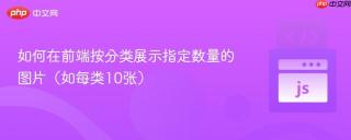 如何在前端按分类展示指定数量的图片（如每类10张）